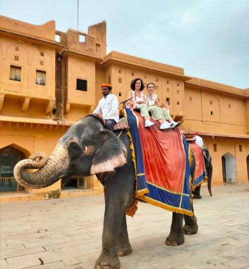 WhatsApp-Image-2024-02-01-at-8.2